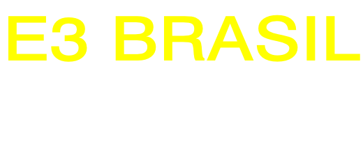 E3 BRASIL  Empreendedorismo Em Equipe Metodologia do Instituto Sirolli